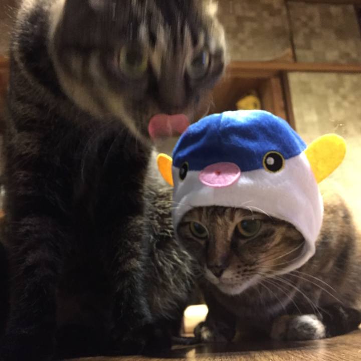 Befd176b 82de 4ce9 a073 a01e38a84fd6