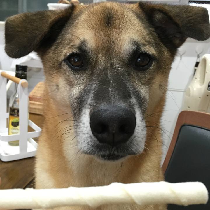 Befd56cf f9d9 4e5b a40c c50519bcfe98