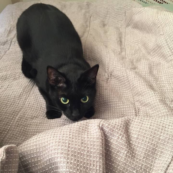 Befd587a 05bd 4fb7 b106 98576d928836