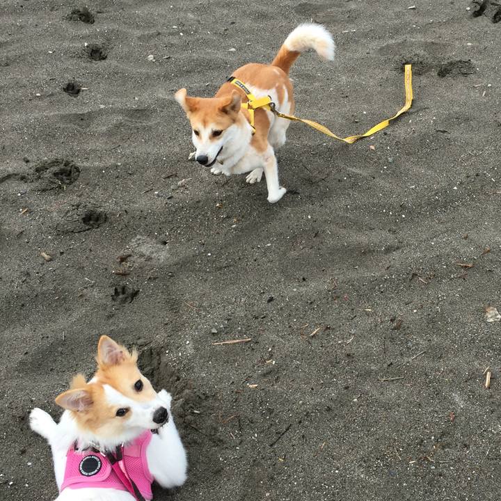 Befd8d14 e222 4fd7 aa59 a01eeb9dd0a2