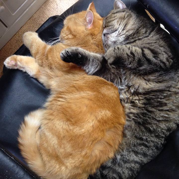 Befec8e9 560f 42b8 beca 850ebff6accd