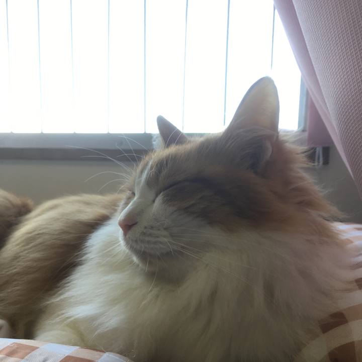 Beff9b79 fc4a 44e4 a476 8ed612b074ee