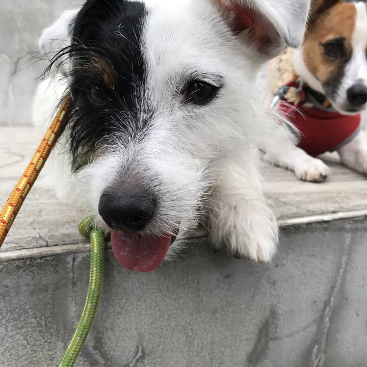 Beffb45c 6681 4564 9da2 5f6c64bf5950