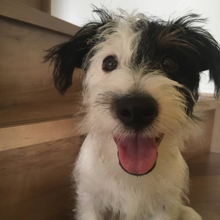 Bf0068c4 fdc7 48e4 8a9b 666a336180c3