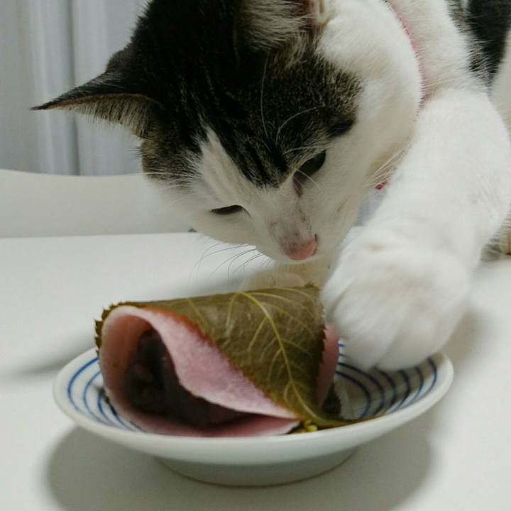 Bf008474 1e0c 4ea3 836a b9d41a1e6fe2