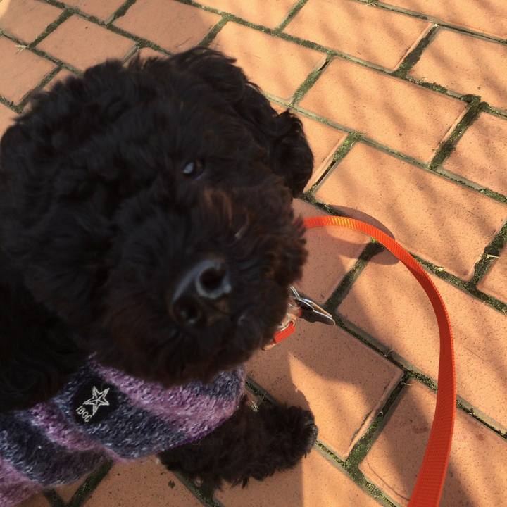 Bf00bdc9 c3ef 4f0f 8823 6e874b4f105d