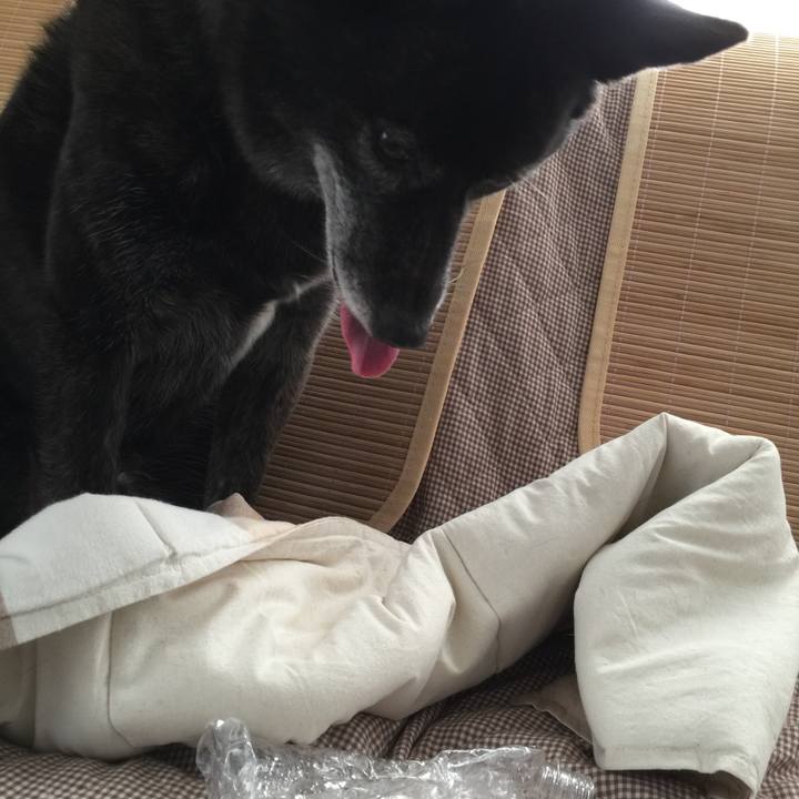 Bf023629 ba25 4aa4 8f29 aee7e1c9a218