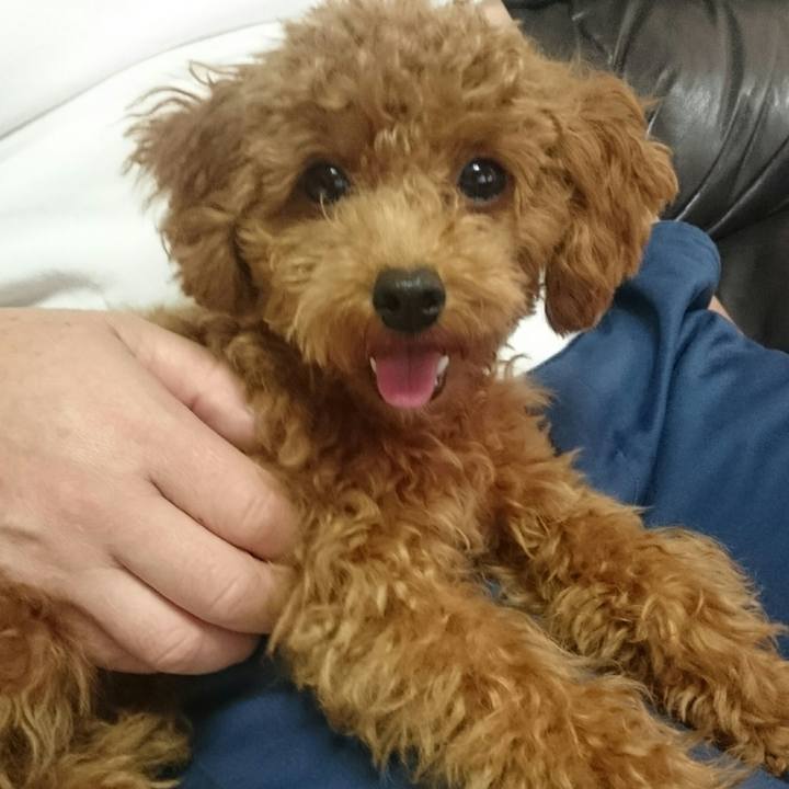 Bf0317f1 1793 403f b630 335778153fe3