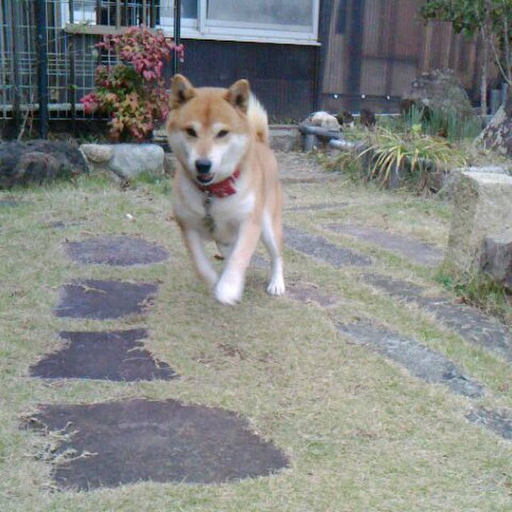 Bf0342b5 5899 48bb 89b8 9c6e9cbde16e