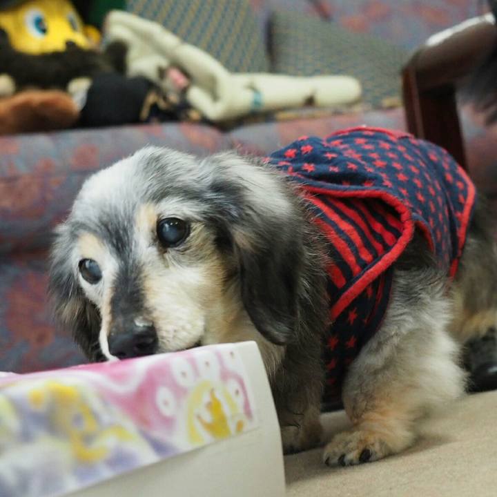 Bf03501d 5141 40ca a74f e3d7a3085a32