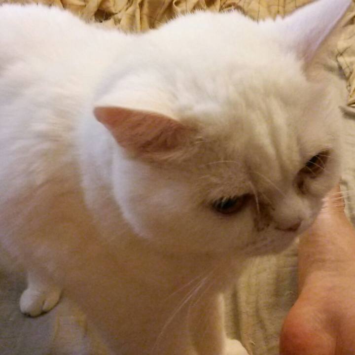 Bf0359b5 eb8d 4709 a904 5a0b59b4aaff