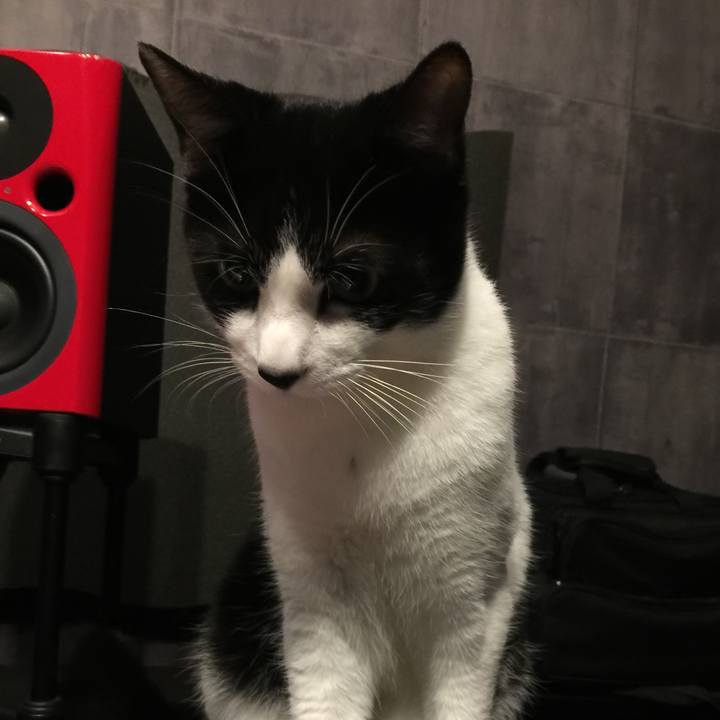 Bf03b71e 1b0f 4dad 9613 583eafbea44c