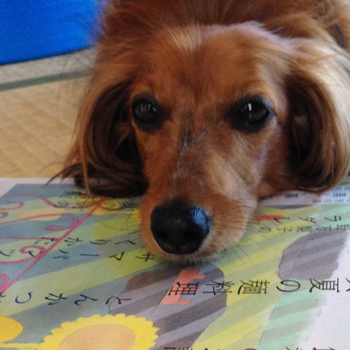 Bf03c0bf 9039 47a9 835d 0a1159e4cb59