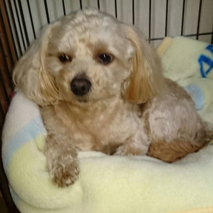 Bf03dd3d 9185 4908 b873 502af0c09685