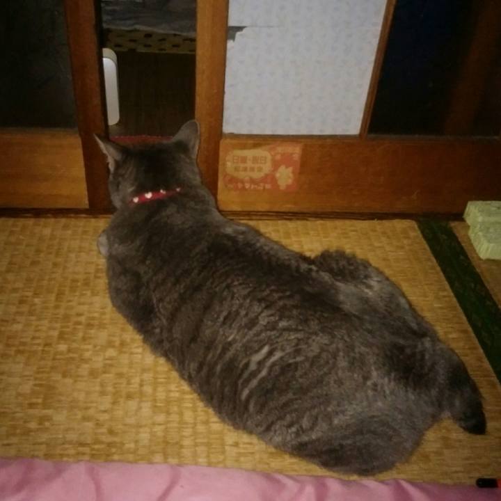 Bf041ab9 4173 43f7 bffd 411c3ca8f81b