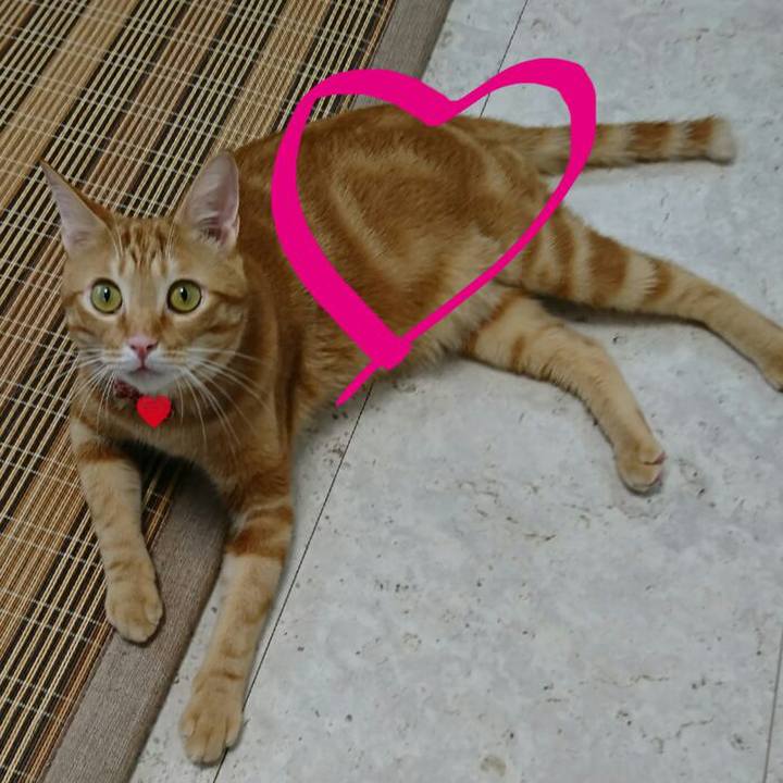 Bf045735 1e61 49a8 9e75 cef63039670c