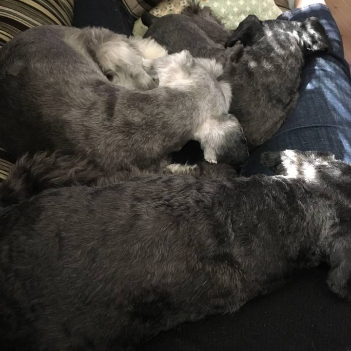 Bf04cf77 4f49 49a4 b7c6 d1603732d541