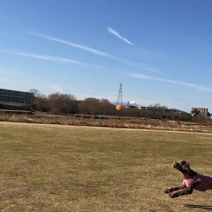 Bf052cd6 0454 4d38 9a13 595d041fae91