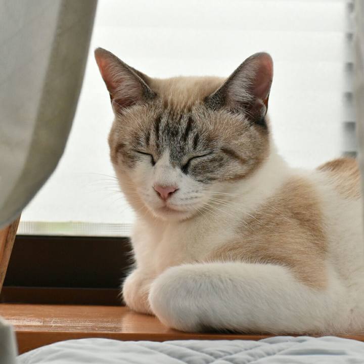 Bf054161 4744 4a89 9e21 f0a63efa25a2