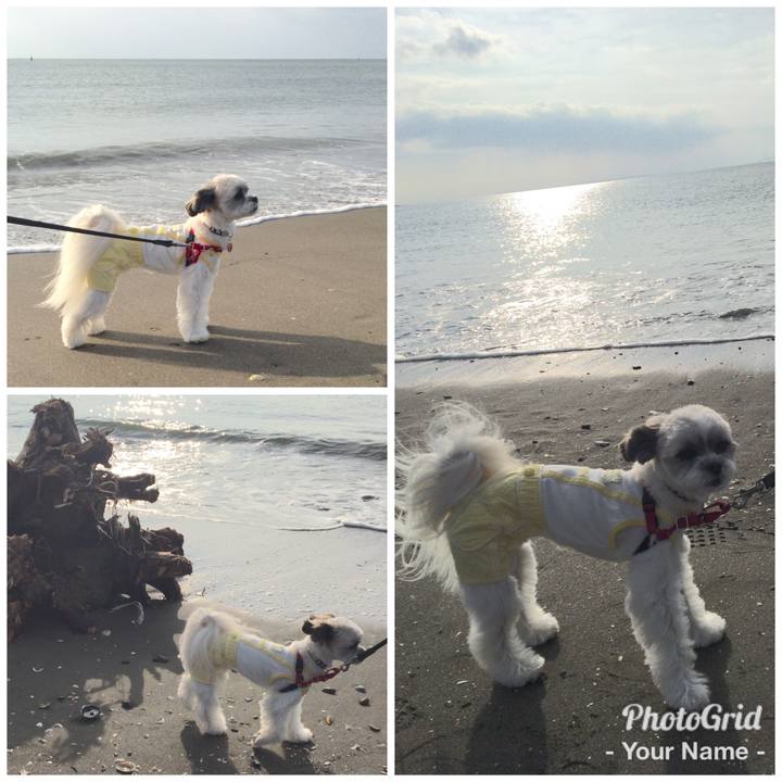 Bf05e753 264f 4ae4 abd0 fbed24cd524d