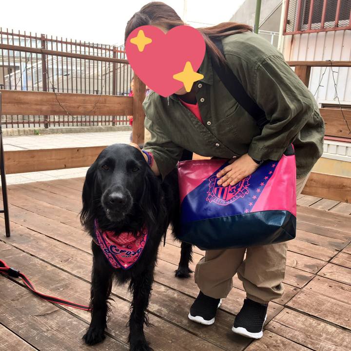 Bf063849 be4c 4945 9b6f f2eec47565fa