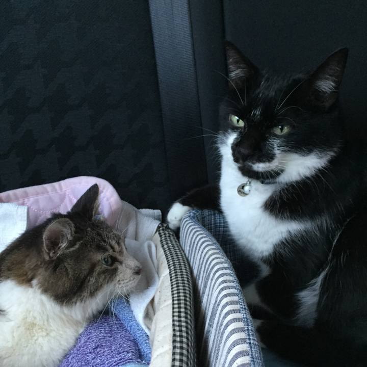 Bf06d10f d1eb 433f 8337 9db93683de5d