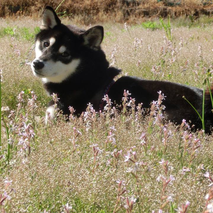 Bf08c972 0d54 44a6 85a6 eac1899be5c9