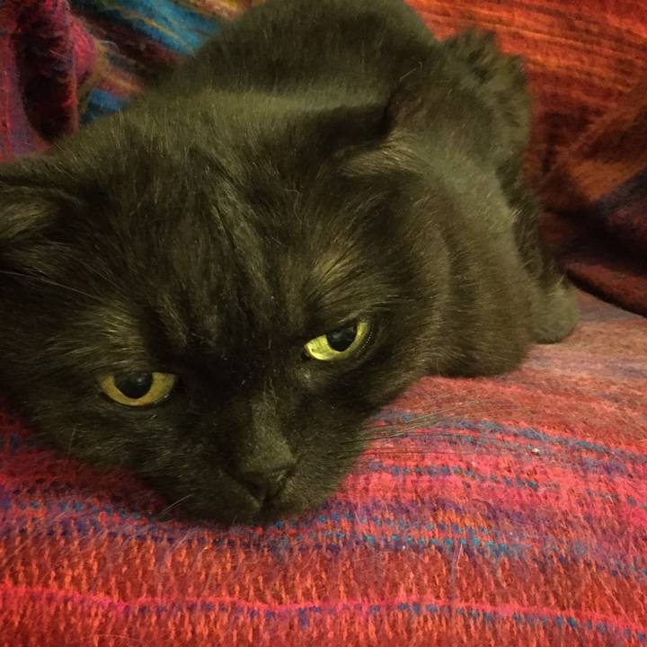 Bf08fbc0 4e7c 460b 8061 9be6723f0617