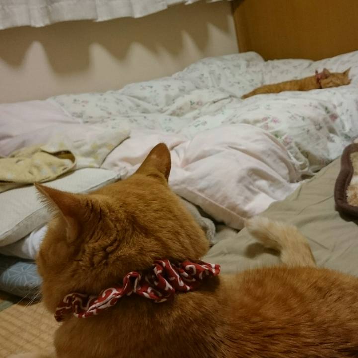 Bf093f2e 189f 41f1 b01e ca254287ea3f