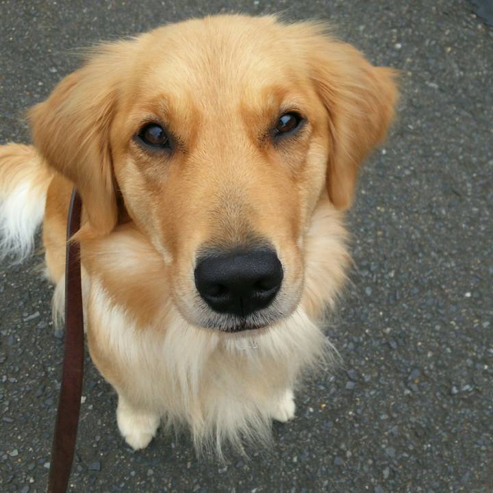 Bf099ca5 9893 48b2 a553 8585413a6b40