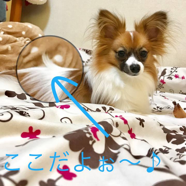 Bf0a2bce 62ca 4c3a b8e1 78aca25a0db7