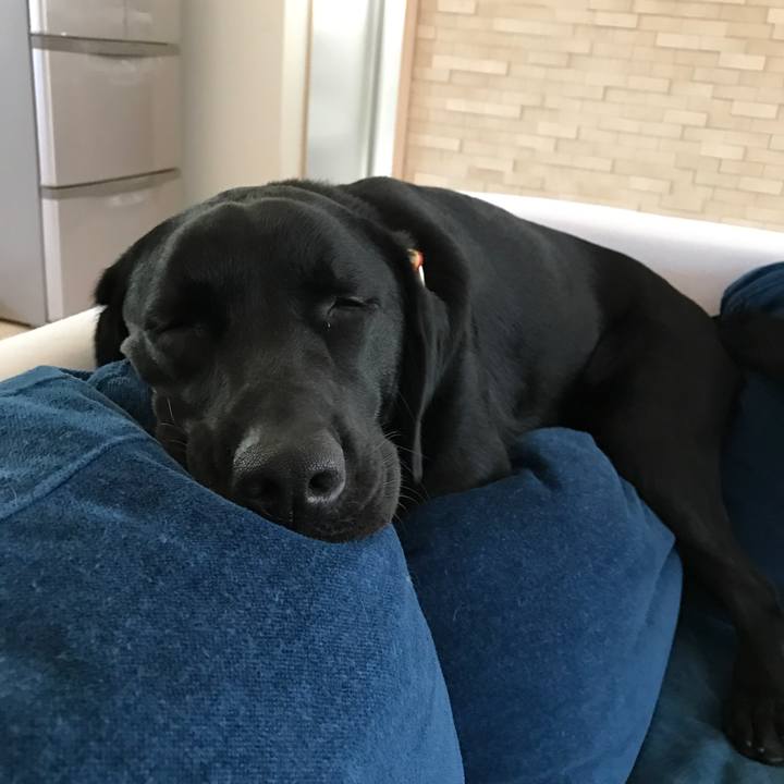 Bf0a53b6 ea93 4be1 a6bb 136edc1af0a2