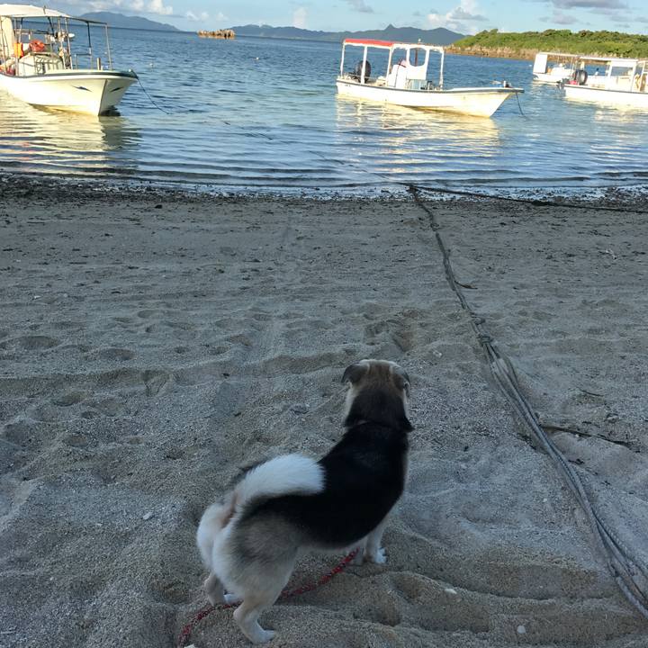 Bf0a82fb d25a 4387 9672 2774ded97266