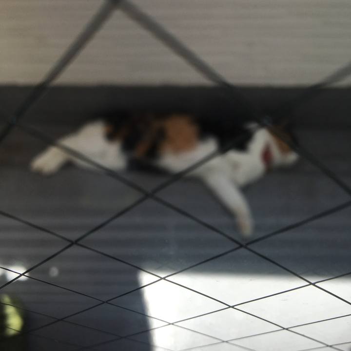 Bf0c11fe 18c3 4c77 8bd5 fe7adcbe8a40