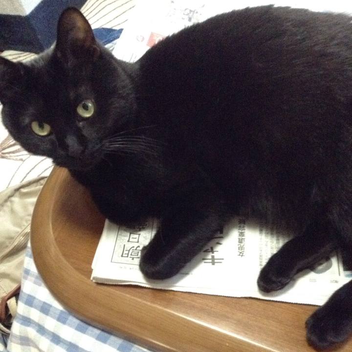 Bf0c2118 2805 4ddf b5ee b3ac7764e87c