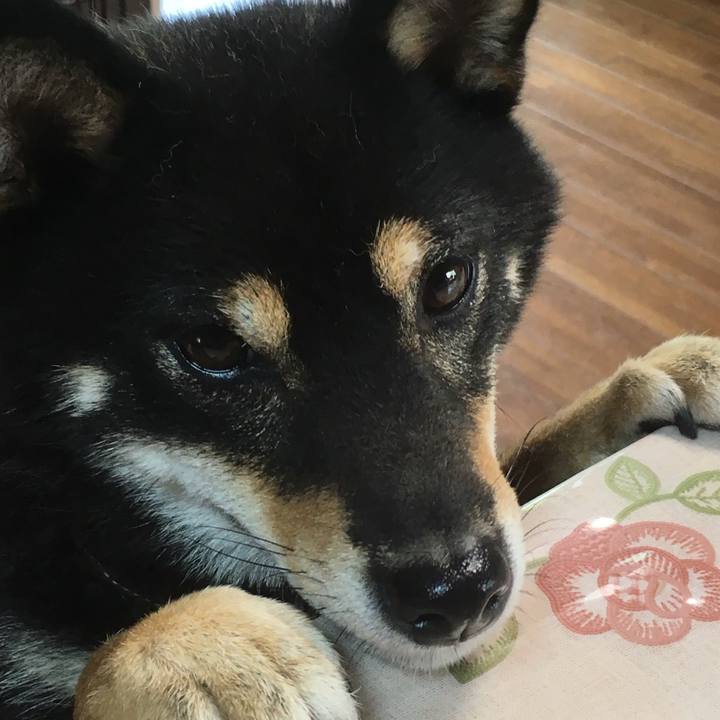 Bf0c23ed 475c 4935 bbaa b8f8c76ccaa1