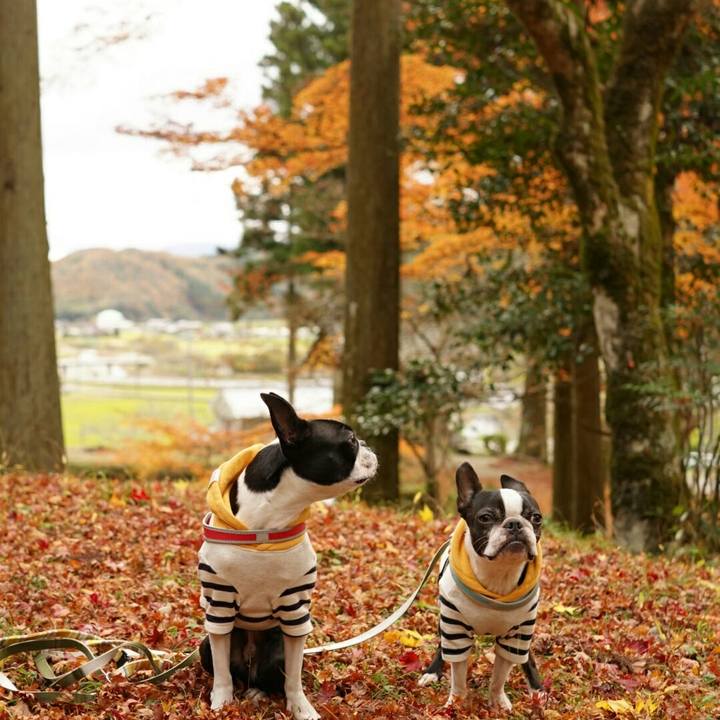 Bf0c30a3 a2db 4ae4 9aa9 4e6670fabf5c