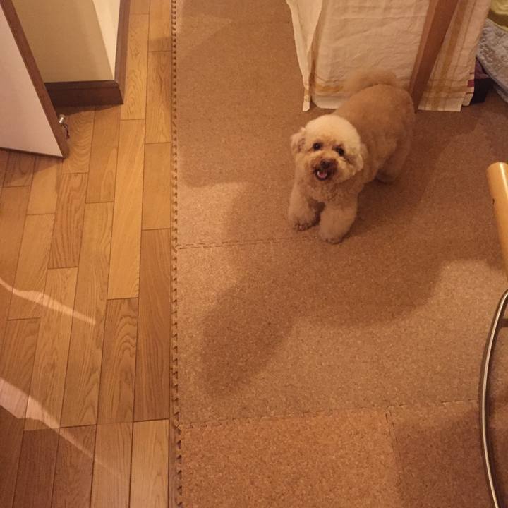 Bf0c4941 f4d4 4c6b 8712 9263b41d3778