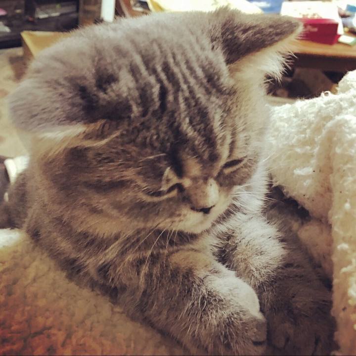 Bf0d2397 98fb 497f 9994 b0a7f3649b48