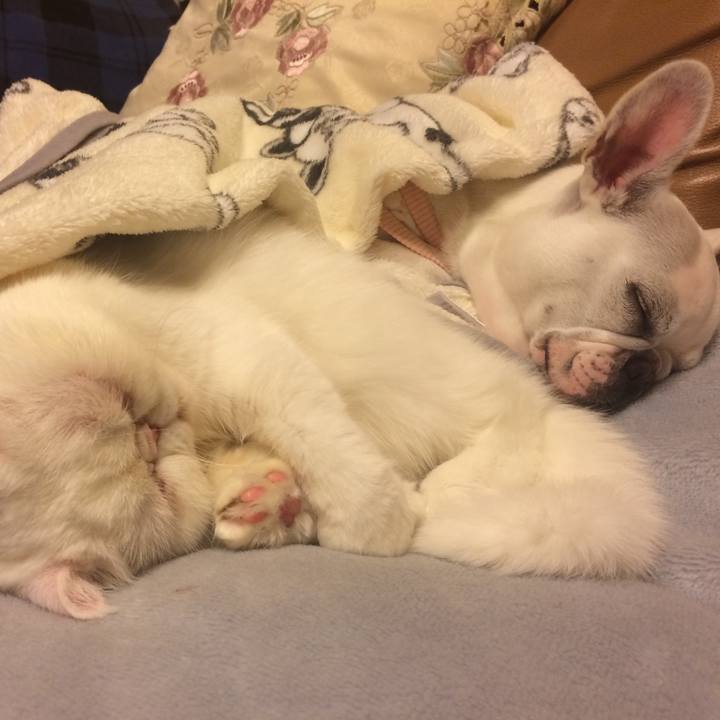 Bf0da726 469d 4f2c 818c c4baac1906a5