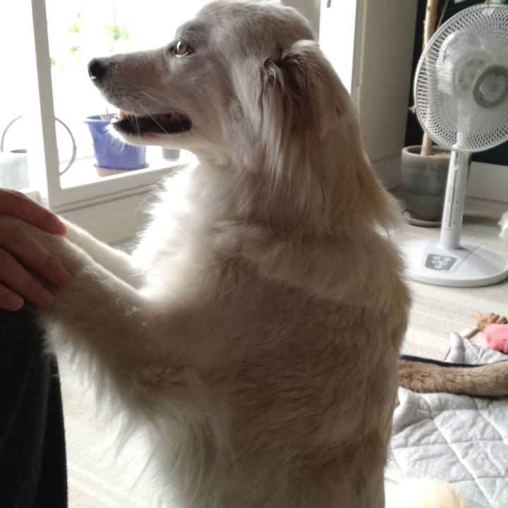 Bf0db6e5 8f76 412e b8ef 3177850bc027