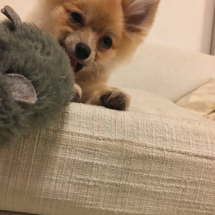 Bf0e8a16 6f39 4517 a856 e82c1b3963f8