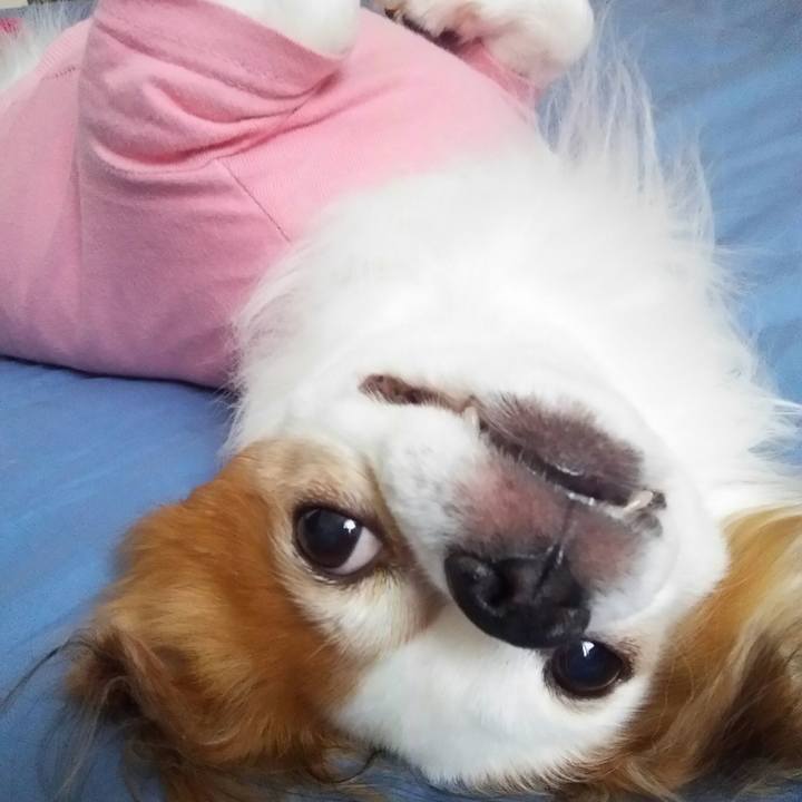 Bf0e8bbb ebd4 4797 9d58 7d6ccfddf12e