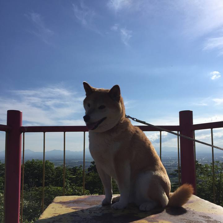 Bf0efcfd 9cdf 45ad ba3c 902f88ab0988