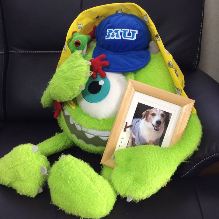 Bf0f8508 860a 4d1f b0b4 eaf086ab1f99