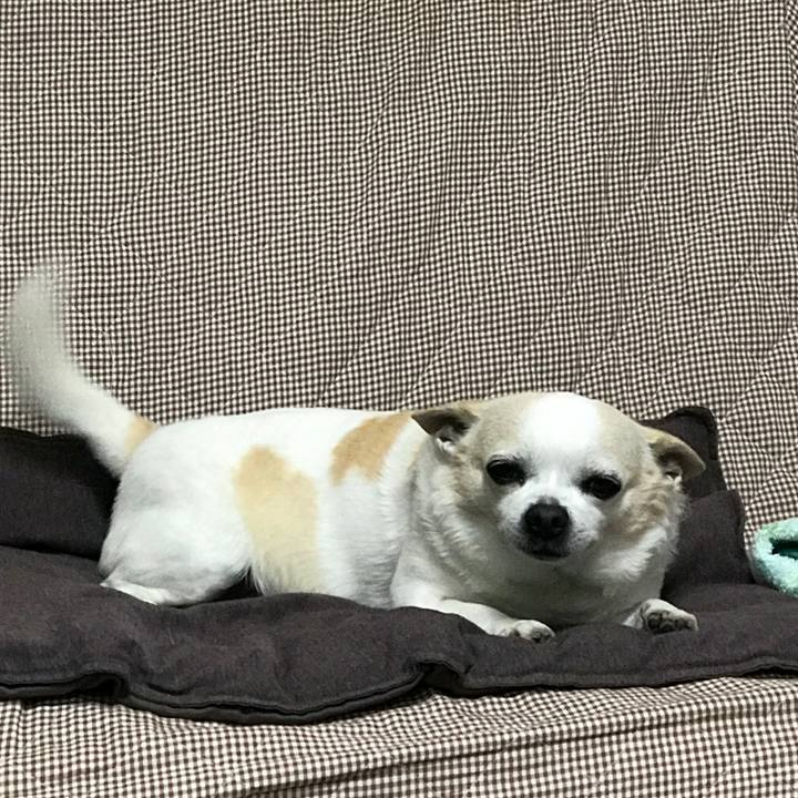 Bf0ffc4b d161 4cb5 a217 140fae5bb90b