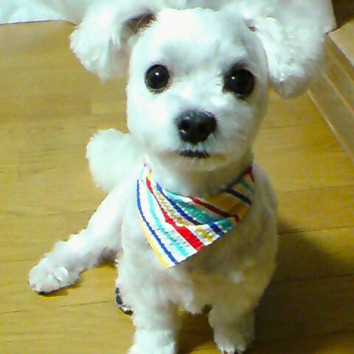 Bf10111c 5605 471c a140 a5095b99bb75