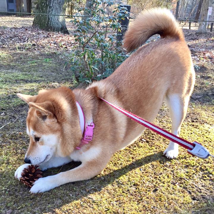 Bf1136b4 ffec 4406 a6cb fc8f002685aa