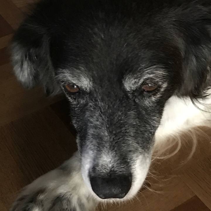 Bf114133 3ecd 4719 b2a3 74462f3f0201