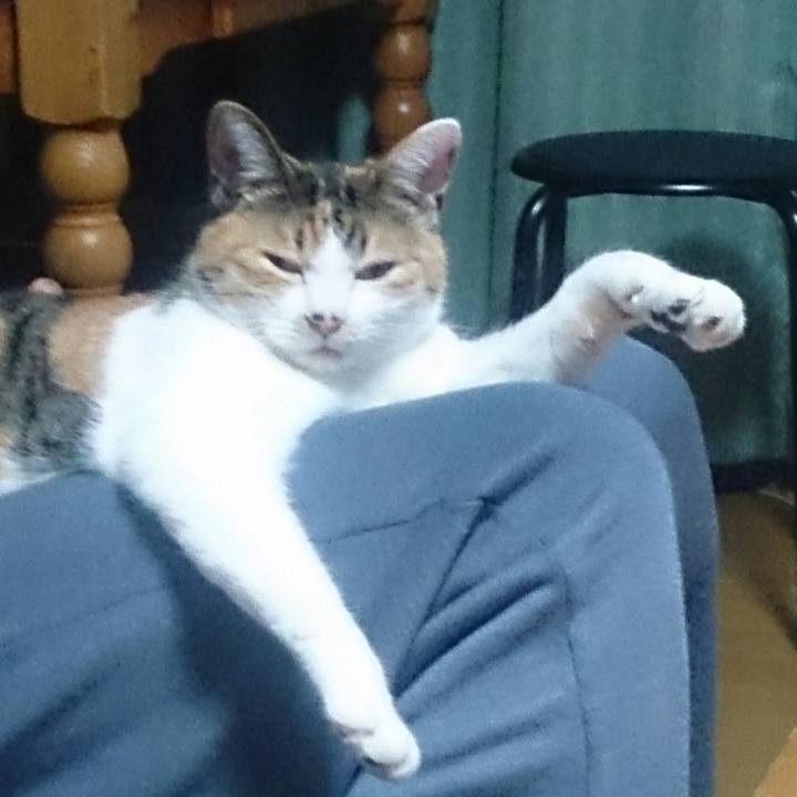 Bf11ab94 42a7 45dc af46 30a31837d069